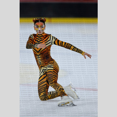 Eislauf SCB Schaulaufen 2026 [442]