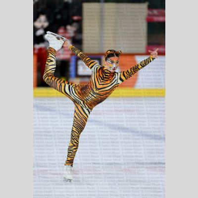 Eislauf SCB Schaulaufen 2026 [447]