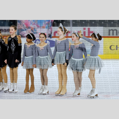 Eislauf SCB Schaulaufen 2026 [482]