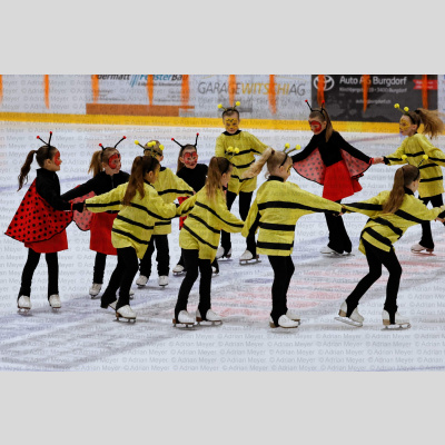 ECB Eisrevue 2026 [1117]