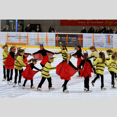 ECB Eisrevue 2026 [1119]