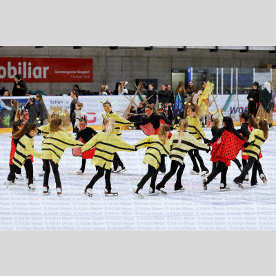 ECB Eisrevue 2026 [2070]