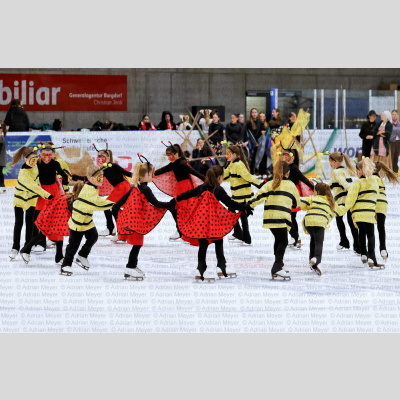 ECB Eisrevue 2026 [2071]