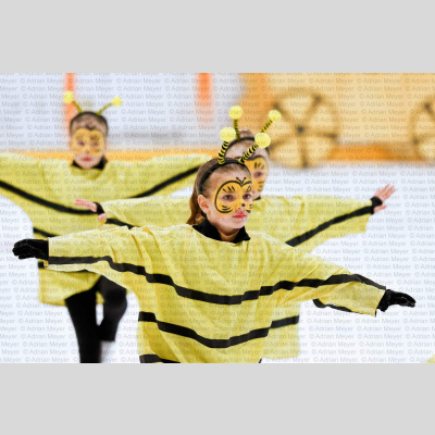 ECB Eisrevue 2026 [2079]